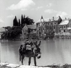AWG015.jpg